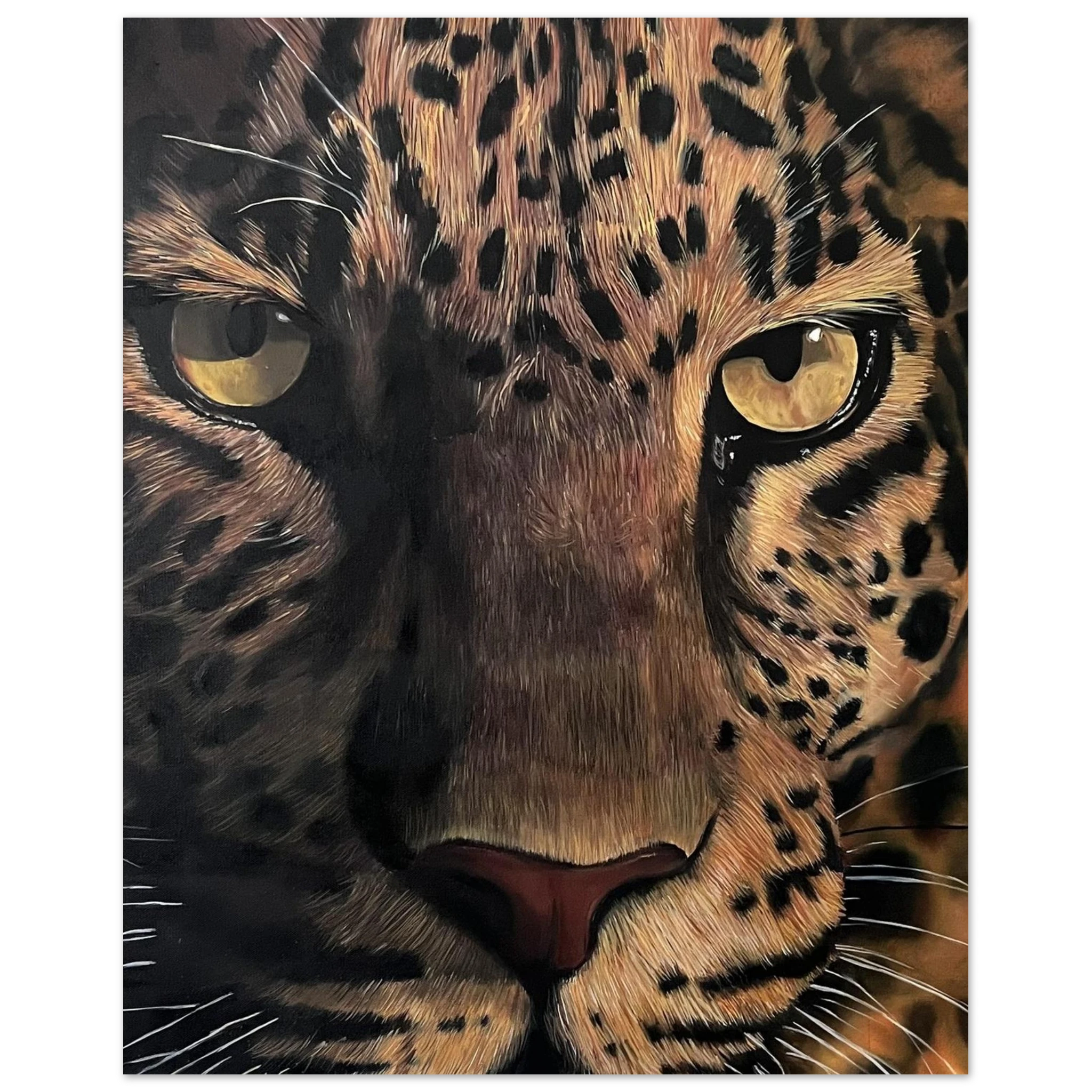 00d30505-5a75-423e-a68e-86de9f7c2dc8