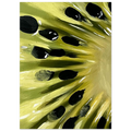 1146d618-30b1-478e-ab2d-d198aa657e5a