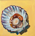 🐚 Scallop