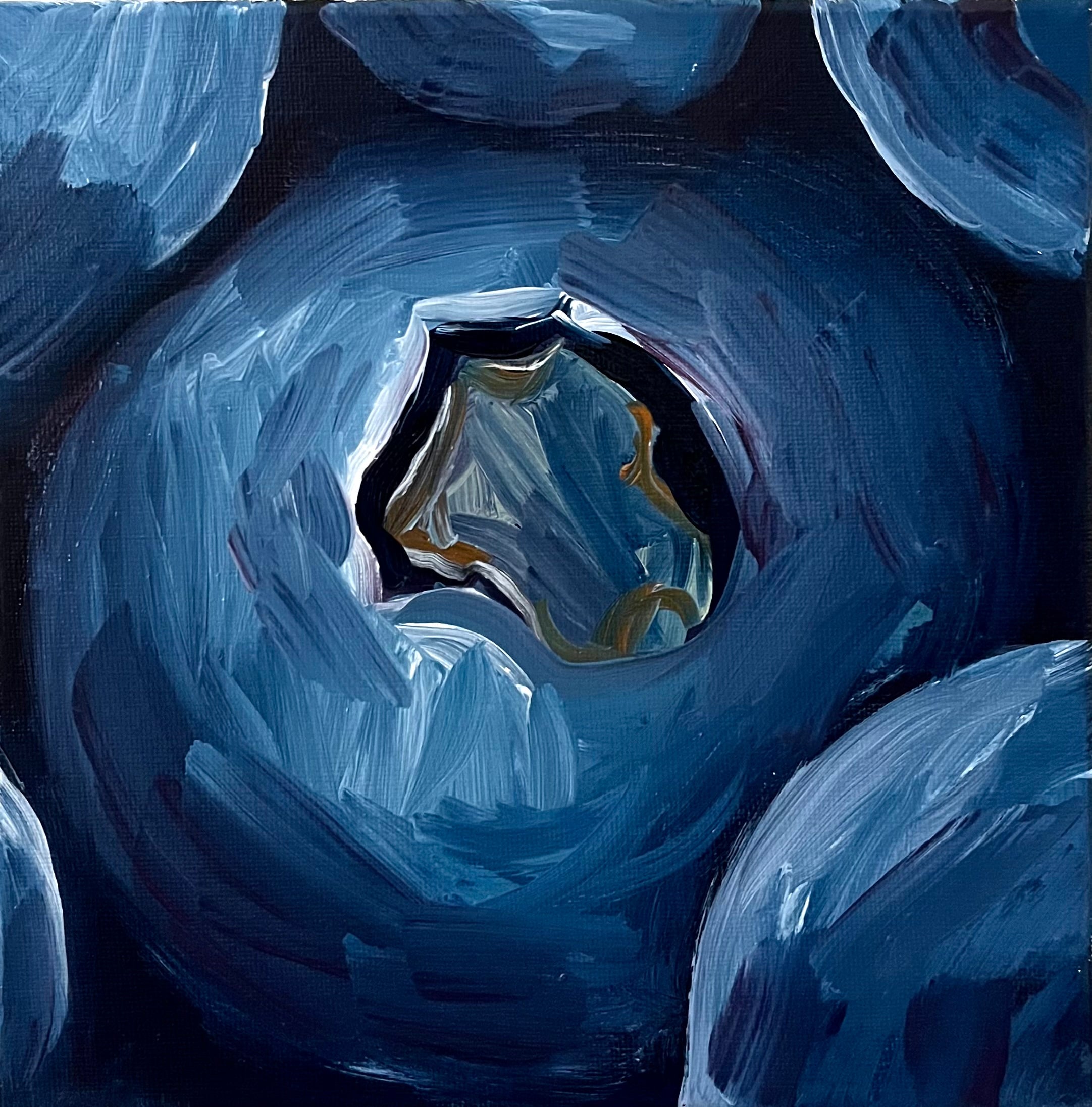 Into the Blue | Complete Collection