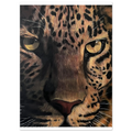 61088fc4-915b-4451-89aa-3bd1306b4b91