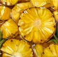 Golden Core III: Open