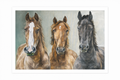 Horse Print “Untamed Presence”