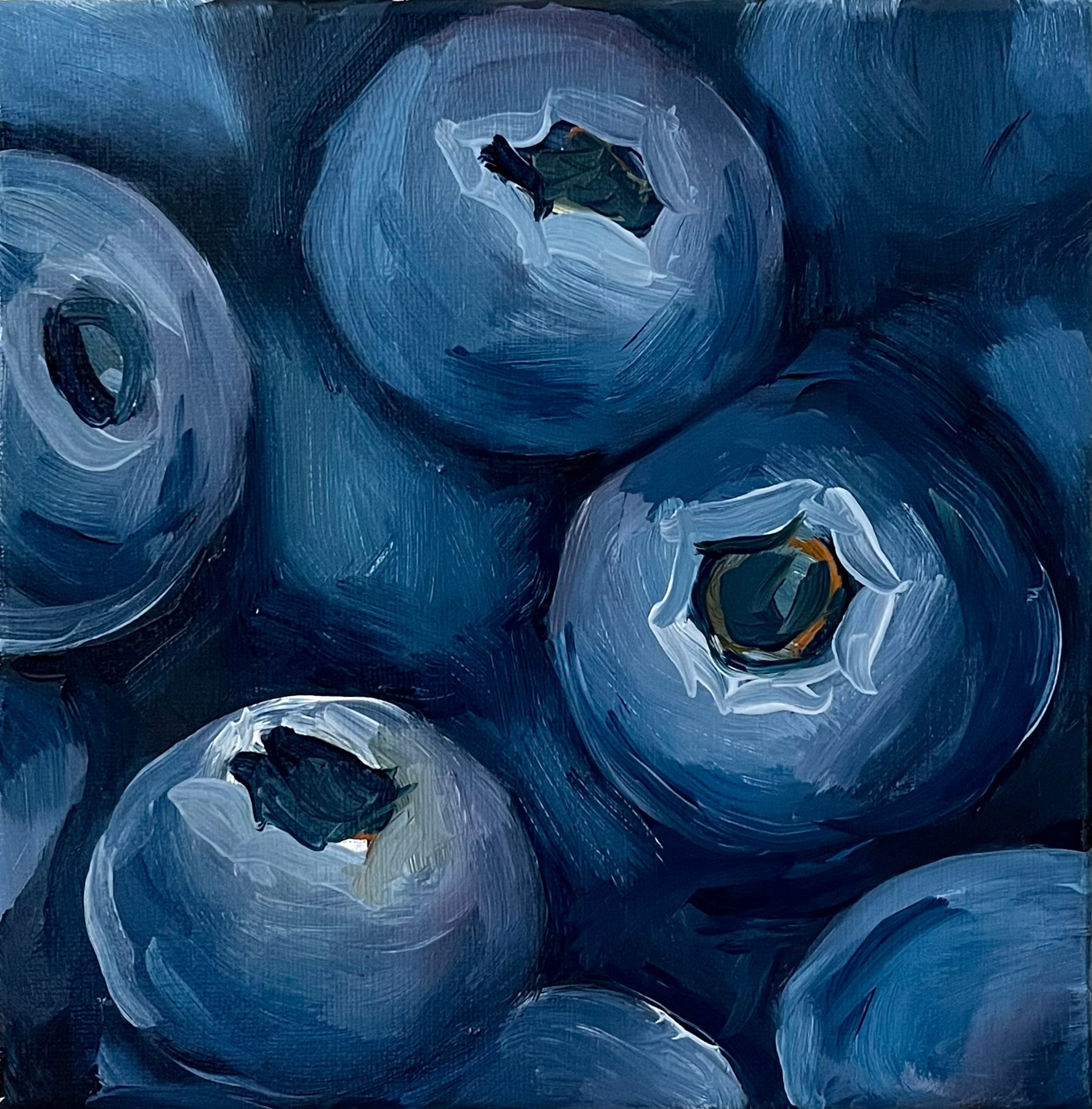 Into the Blue | Complete Collection