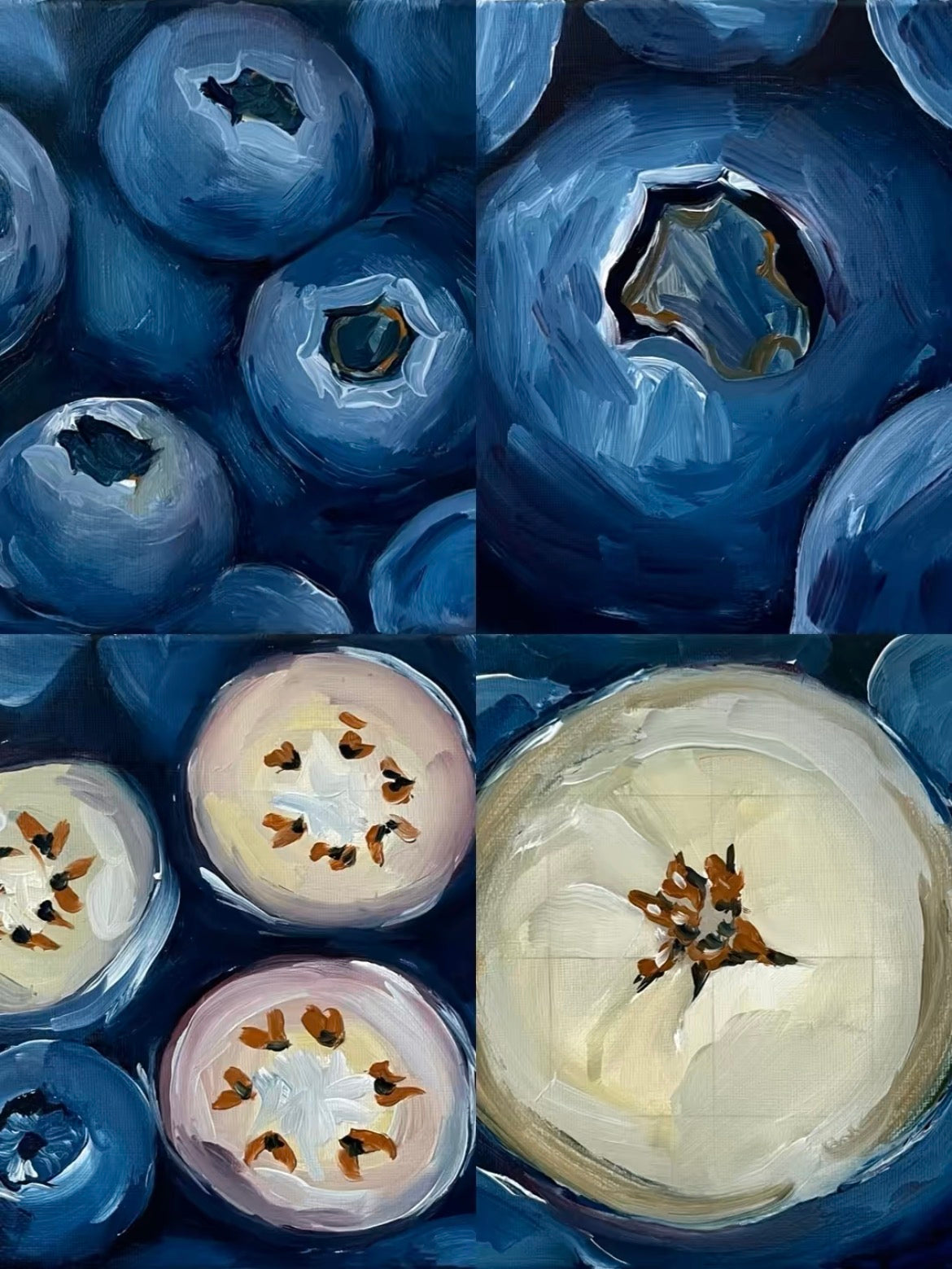Into the Blue | Complete Collection